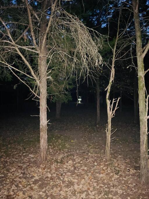 Bastrop Tiny Disc Golf Retreat Exterior foto